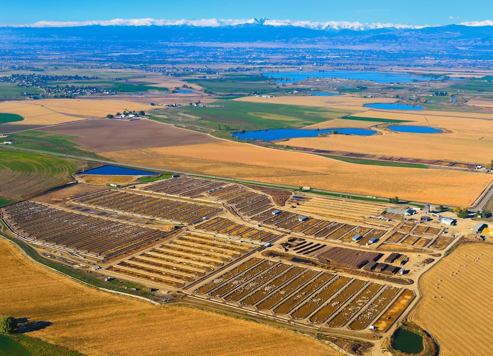 Aerial view of a Colorado feedlot and farmland